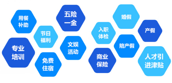 提供全面、系統(tǒng)、專業(yè)的培訓(xùn)和廣闊的<br>職業(yè)發(fā)展空間和提升機(jī)會